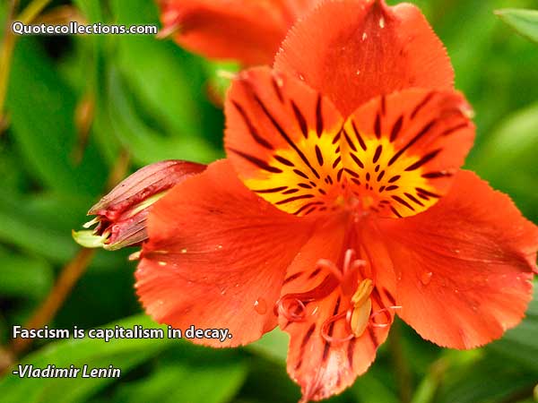 Vladimir Lenin Quotes3